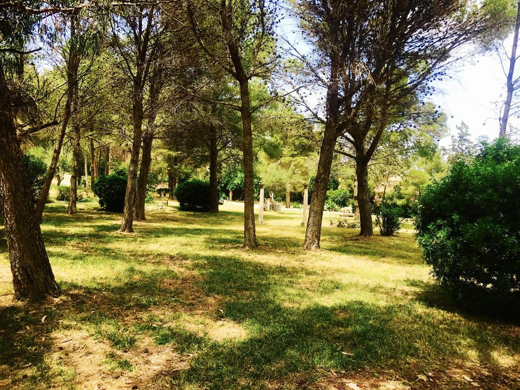 Private Villas Puerto Pollensa For Family Groups, Private Mountain Ideal For Runners, Trailers, Hikers, It Is Approximately 3 Minute Walk From The Beach Port de Pollença Exterior foto